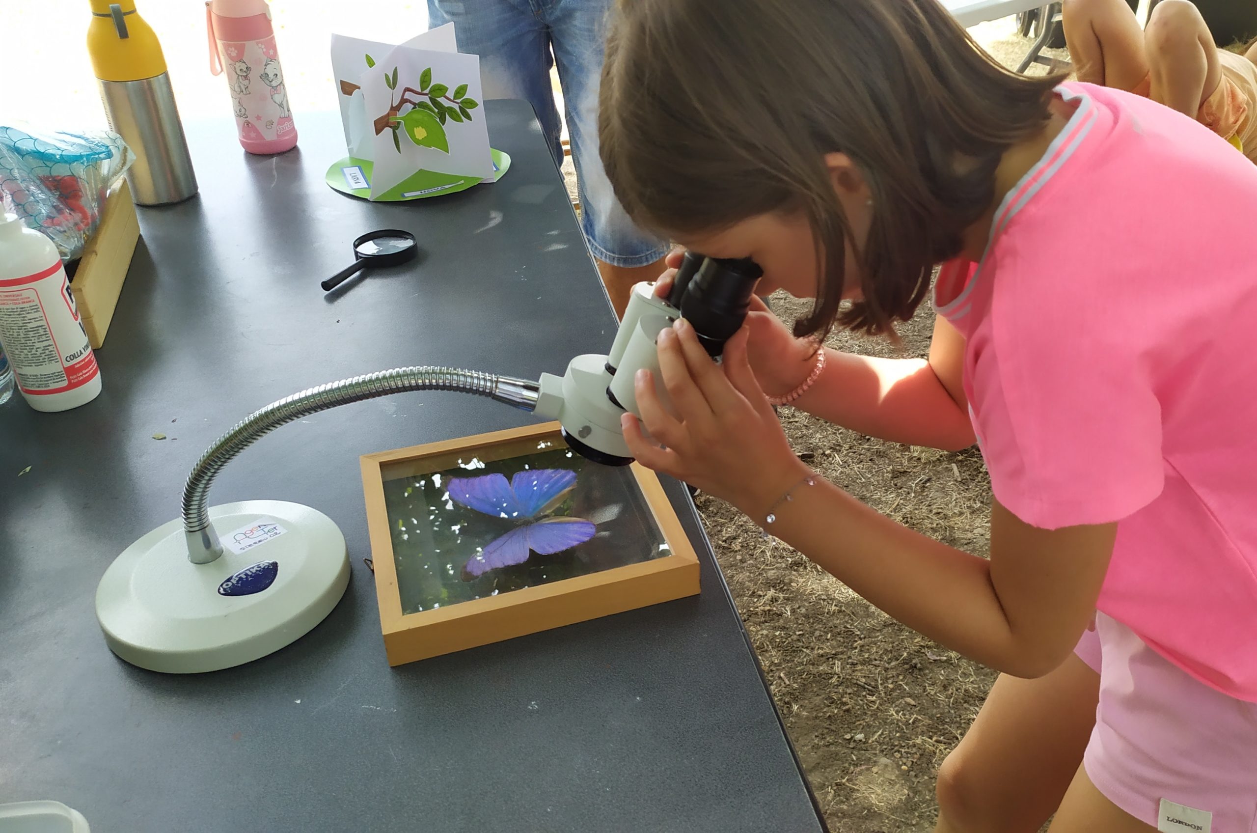 Centro estivo 2025: Archeo Science Camp
