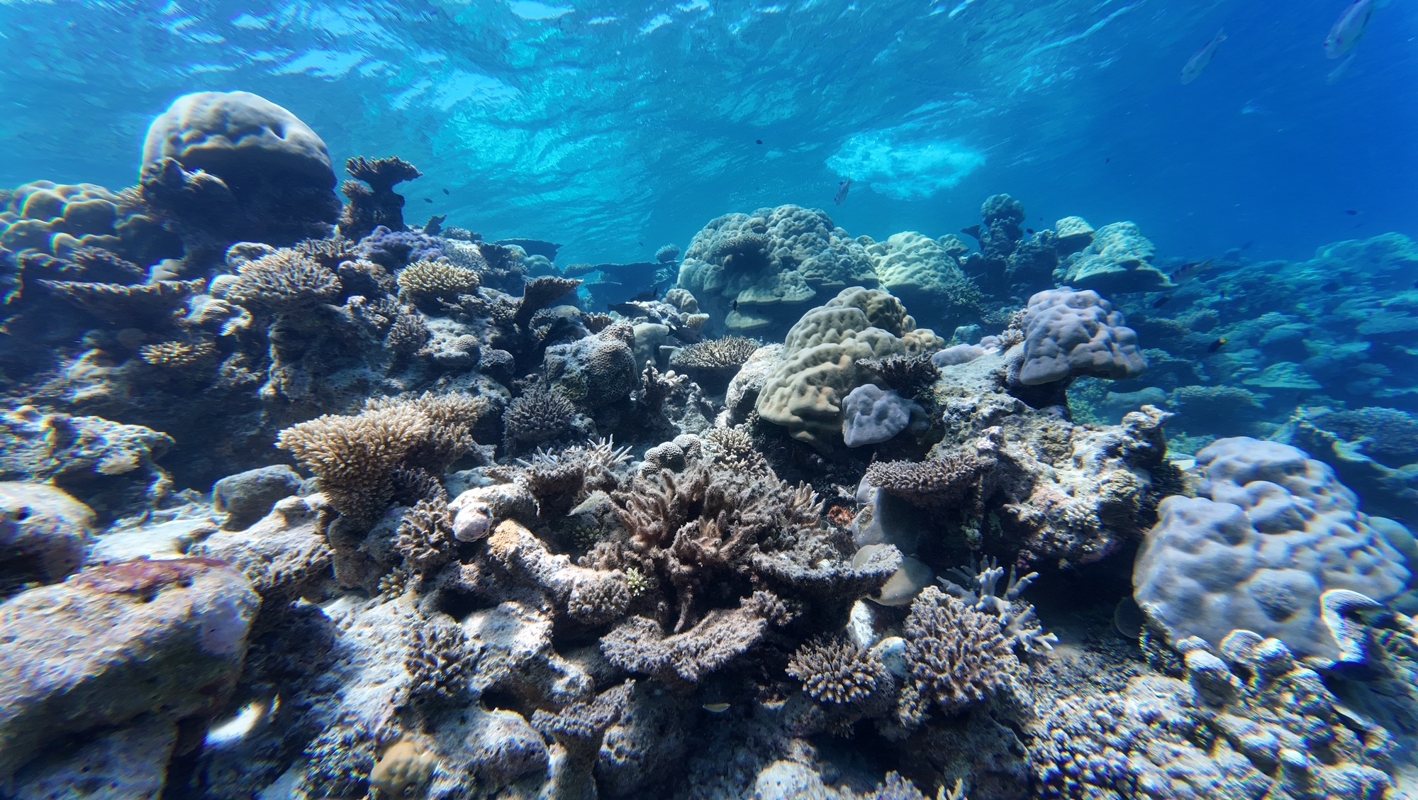 BOLOGNA ESTATE – Avventure sotto l’orizzonte