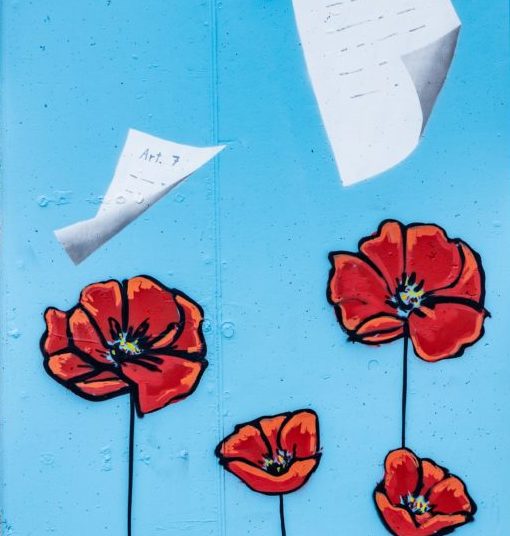 Persiceto al femminile: storie di donne e diritti