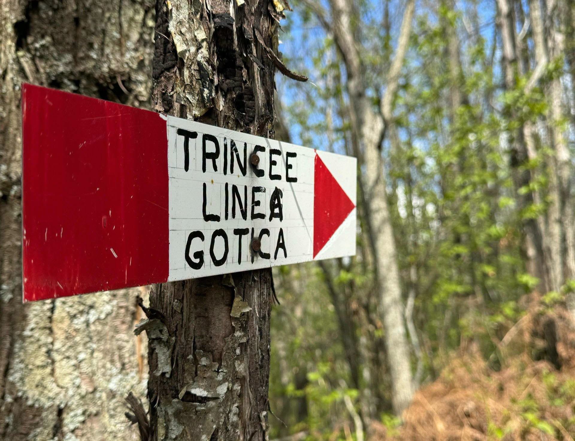 Passeggiata Storica sulla Linea Gotica: un viaggio tra natura e memoria