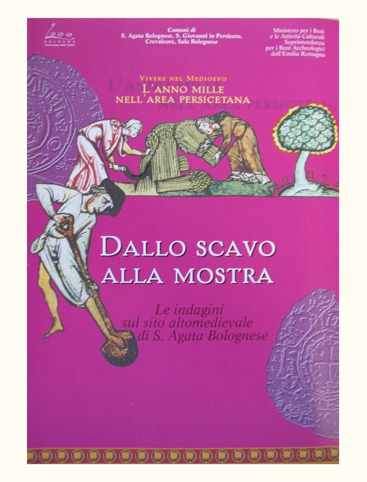 Dallo scavo alla mostra