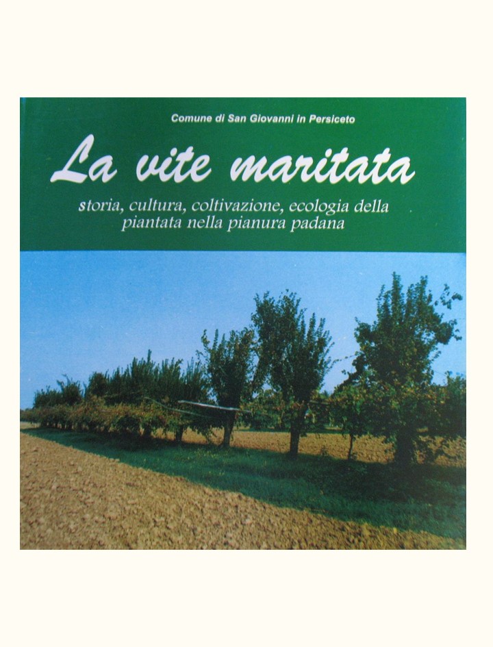 La vite maritata